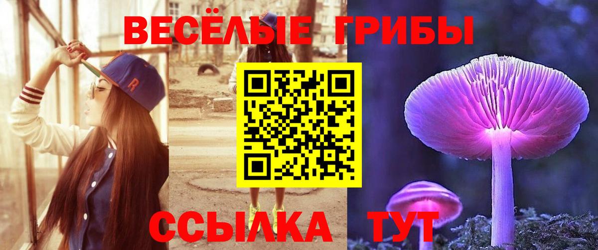 Элиста  Галлюциногенные грибы Cubensis  где купить наркоту  Вход с VPN 